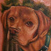 Tattoos - Labradore Portrait - 46561